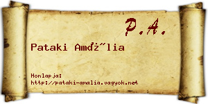 Pataki Amália névjegykártya
