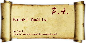Pataki Amália névjegykártya